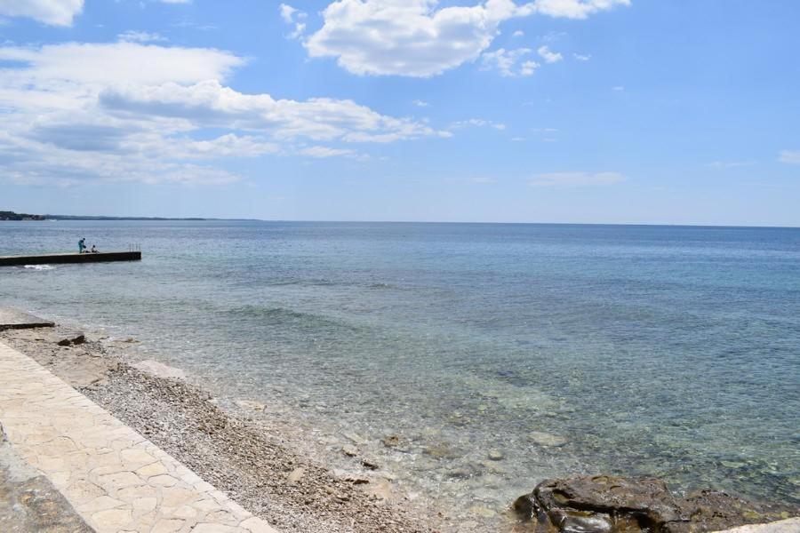 Apartment Matea Novigrad Istria Eksteriør billede